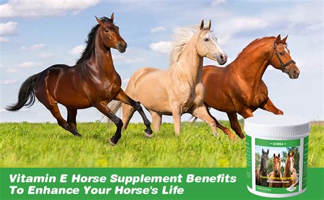 Horse Supplements & Vitamins .
